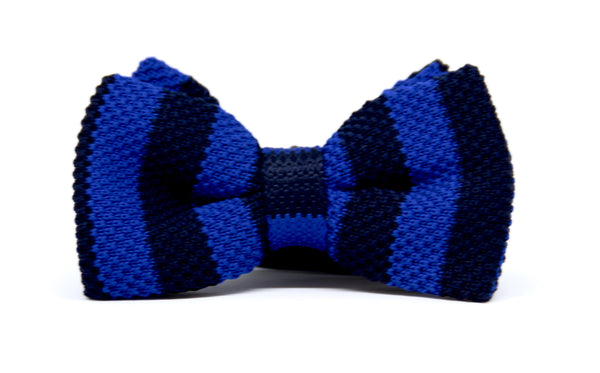 STRIPED NAVY BOW TIE