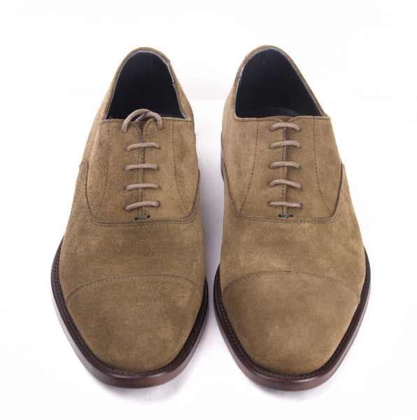 OLIVE OXFORD